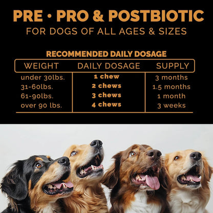 Pet Theory Probiotics for Dogs. Dog Digestive Health-Pre Pro and Postbiotic Combination-Pet Supplements for Gut Health-Supports Digestion, Boost Immunity-100CT Soft Chews - Maple Wellness Supplements