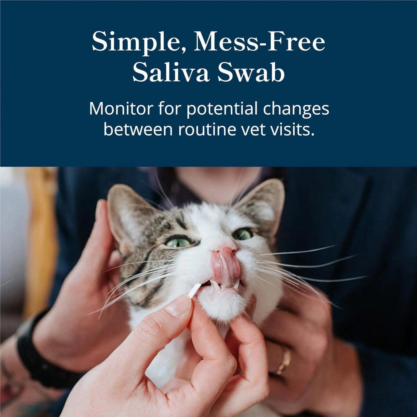 Petivity At-Home Kidney Health Test Kit for Cats — Quick Saliva Urea Test (2-Minute Home Check), Powered by Purina — Help Detect Early Kidney Changes - (Pack of 3) - Maple Wellness Supplements