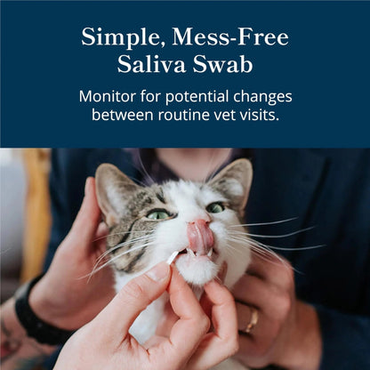 Petivity At-Home Kidney Health Test Kit for Cats — Quick Saliva Urea Test (2-Minute Home Check), Powered by Purina — Help Detect Early Kidney Changes - (Pack of 3) - Maple Wellness Supplements