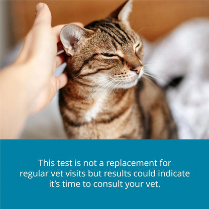Petivity At-Home Kidney Health Test Kit for Cats — Quick Saliva Urea Test (2-Minute Home Check), Powered by Purina — Help Detect Early Kidney Changes - (Pack of 3) - Maple Wellness Supplements