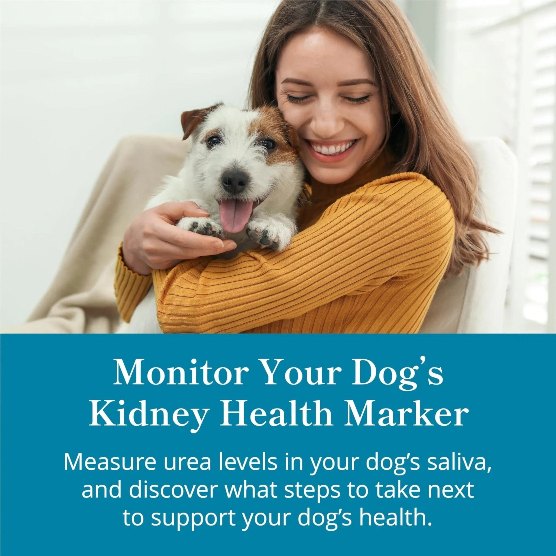 Petivity At-Home Kidney Health Test Kit for Dogs — Quick Saliva Urea Test (2-Minute Home Check), Powered by Purina — Help Detect Early Kidney Changes - (Pack of 3) - Maple Wellness Supplements