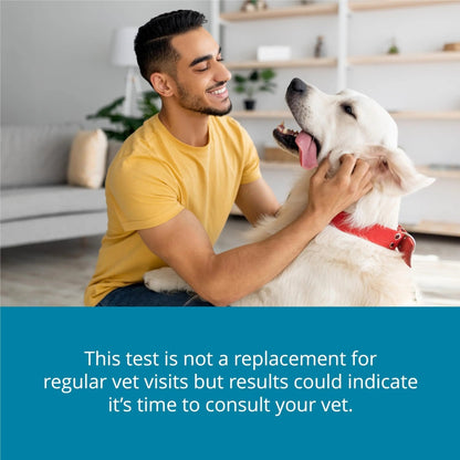 Petivity At-Home Kidney Health Test Kit for Dogs — Quick Saliva Urea Test (2-Minute Home Check), Powered by Purina — Help Detect Early Kidney Changes - (Pack of 3) - Maple Wellness Supplements