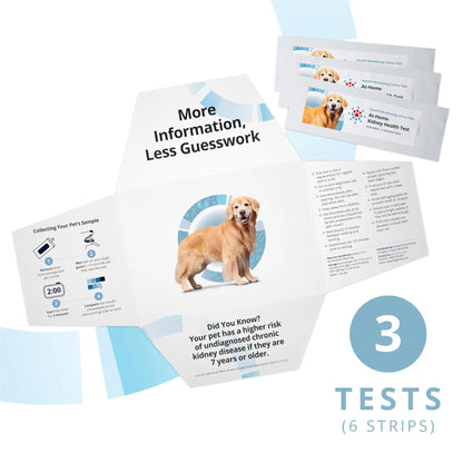 Petivity At-Home Kidney Health Test Kit for Dogs — Quick Saliva Urea Test (2-Minute Home Check), Powered by Purina — Help Detect Early Kidney Changes - (Pack of 3) - Maple Wellness Supplements