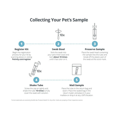 Petivity Microbiome Analysis Kit — Basic for Cats and Dogs, Powered by Purina - 4.8 oz. Box - Maple Wellness Supplements