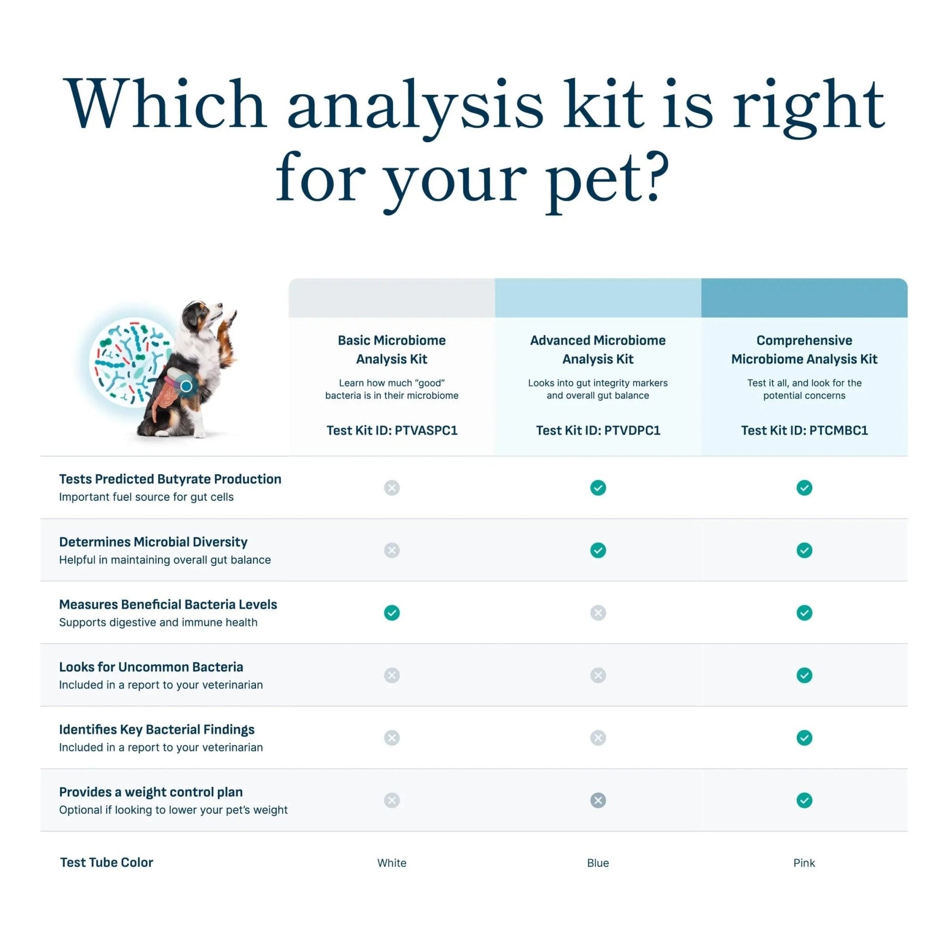 Petivity Microbiome Analysis Kit — Basic for Cats and Dogs, Powered by Purina - 4.8 oz. Box - Maple Wellness Supplements