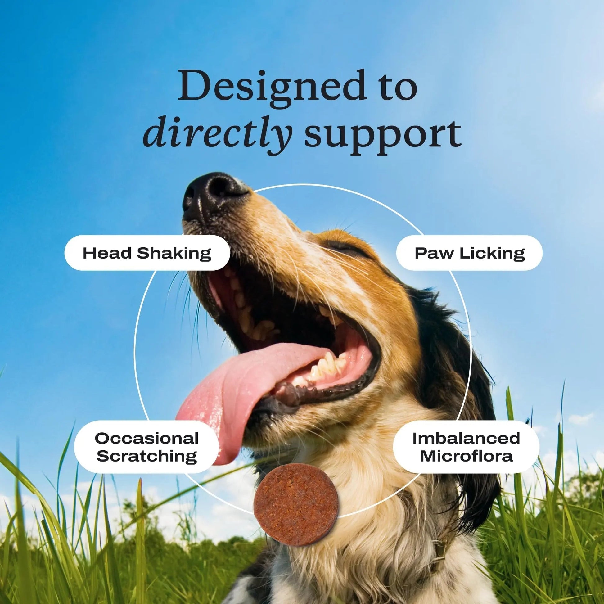 PetLab Co. Allergy & Immune Probiotics for Dogs, Support Seasonal Allergies, Gut & Digestive Health - Pork Flavor - 30 Soft Chews - Packaging May Vary - Maple Wellness Supplements