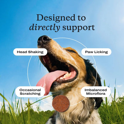 PetLab Co. Allergy & Immune Probiotics for Dogs, Support Seasonal Allergies, Gut & Digestive Health - Pork Flavor - 30 Soft Chews - Packaging May Vary - Maple Wellness Supplements