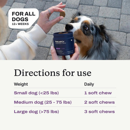 PetLab Co. Probiotics for Dogs, Support Gut Health, Occasional Diarrhea, Digestive Health & Seasonal Allergies - Salmon Flavor - Packaging May Vary - 30 Soft Chews - Maple Wellness Supplements