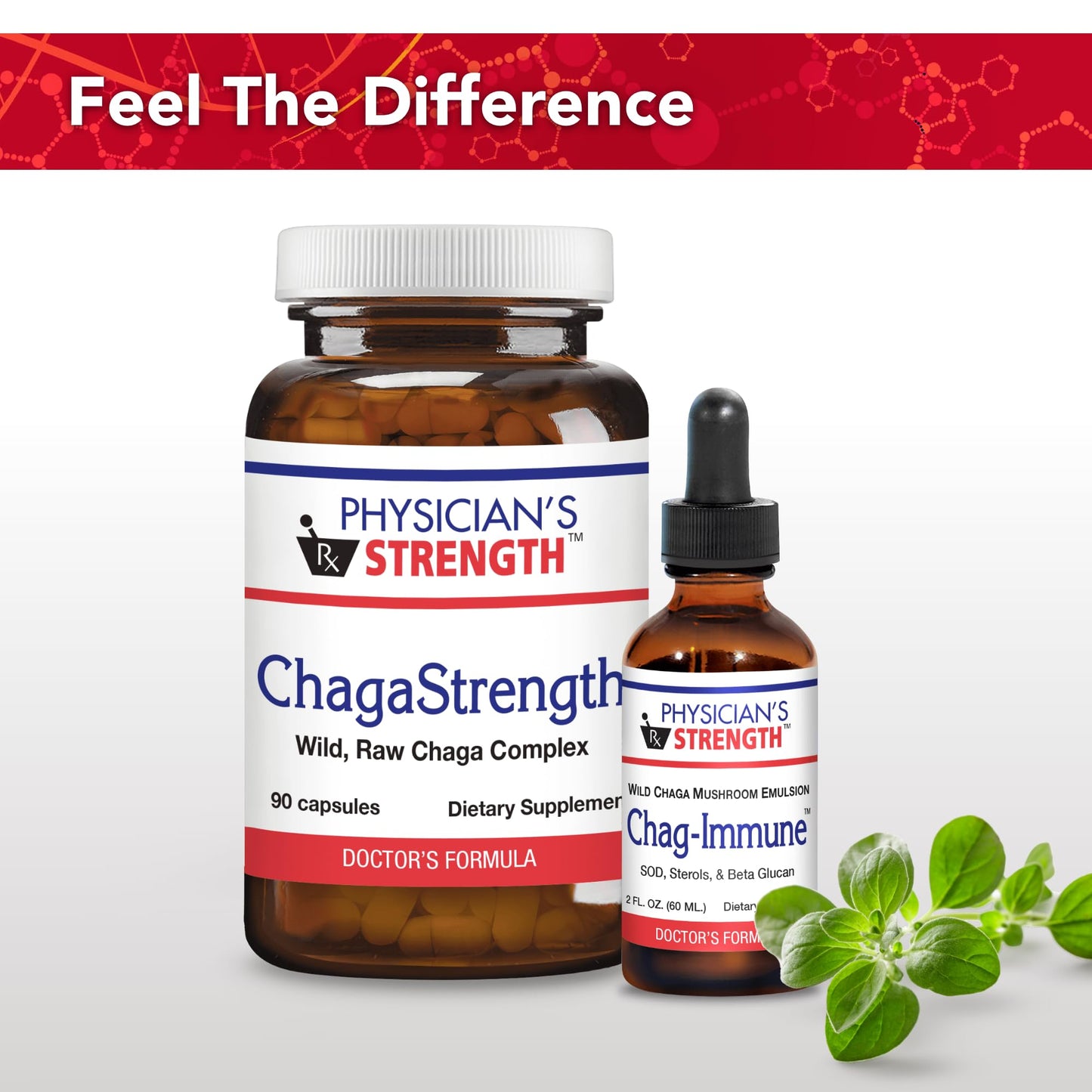 Physician's Strength ChagaStrength - 90 Capsules - Wild, Raw Chaga Complex - Immune & Physical Support - Non-GMO - 90 Servings - Maple Wellness Supplements