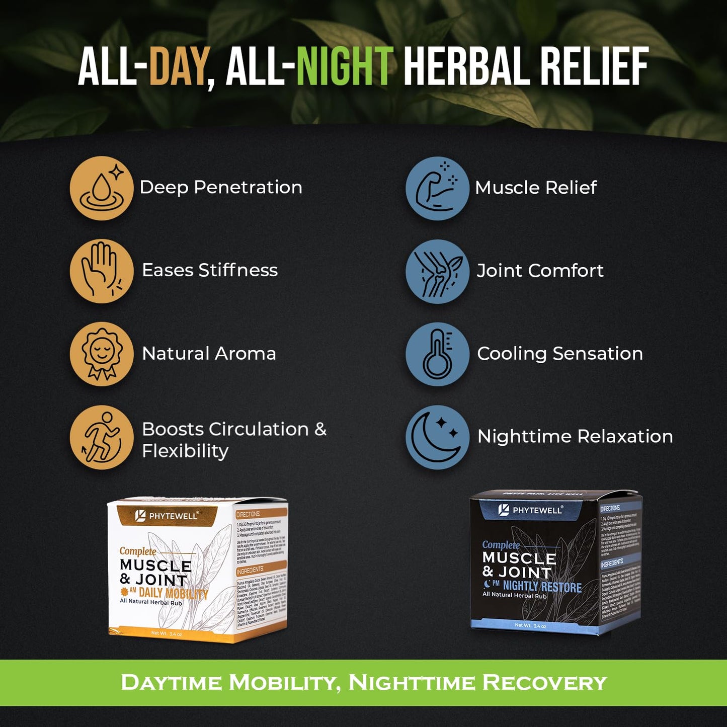 PHYTEWELL Muscle & Joint Rub Balm - Day & Night Pain Relief for Back, Knee, & Shoulder - Crafted with Arnica, Clove & Black Pepper to Support Recovery & Relaxation – Premium Non-Greasy Texture - Maple Wellness Supplements