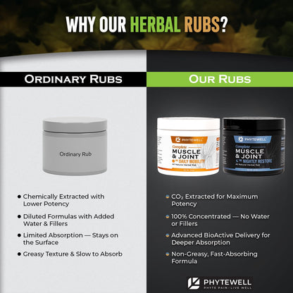 PHYTEWELL Muscle & Joint Rub Balm - Day & Night Pain Relief for Back, Knee, & Shoulder - Crafted with Arnica, Clove & Black Pepper to Support Recovery & Relaxation – Premium Non-Greasy Texture - Maple Wellness Supplements