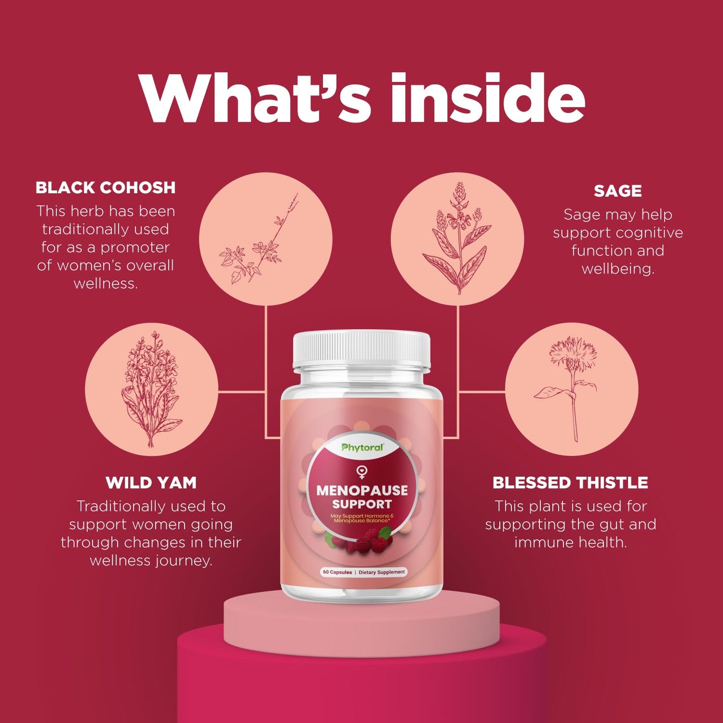 Phytoral Complete Herbal Menopause Supplement for Women - Female Hormone Balance Capsules for Night Sweats Hot Flashes & Mood Swings with Dong Quai, Chaste Berry & Black Cohosh Root - 60 Count Pack - Maple Wellness Supplements