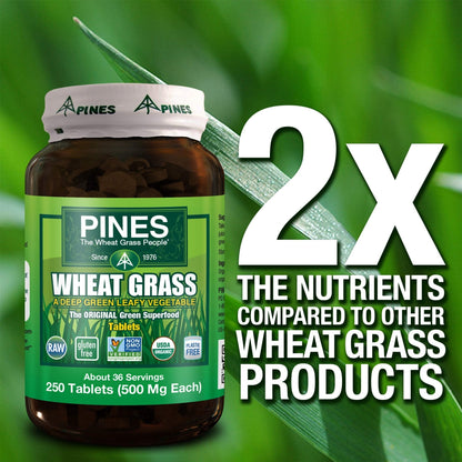 PINES Organic Wheat Grass, 250 Count Tablets | PINES Wheat Grass as featured in the new blockbuster film, Ocean's 8! - Maple Wellness Supplements