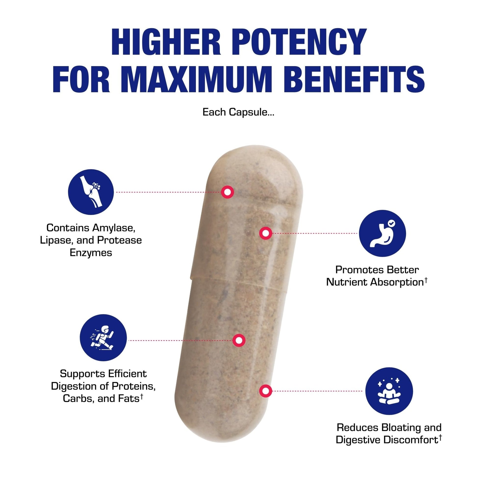 Plant Based Multi Digestive Enzymes Supplement - Clinically Formulated Digestion Supplement with Soothing Herbs and Enzymes for Women and Men - Maple Wellness Supplements