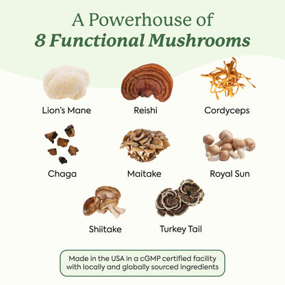 Plant People WonderDay Mushroom Gummies - Lion’s Mane, Cordyceps, Chaga Mushroom Supplement to Support Immune System De-Stress Boost Mood & Energy in Adults Natural - Maple Wellness Supplements