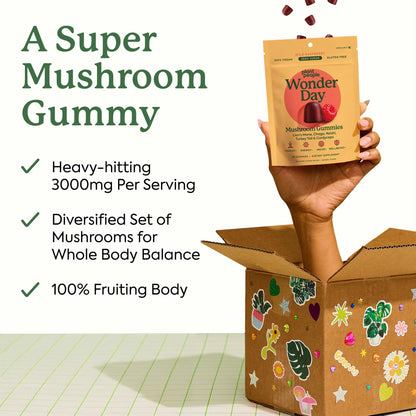 Plant People WonderDay Mushroom Gummies - Lion’s Mane, Cordyceps, Chaga Mushroom Supplement to Support Immune System De-Stress Boost Mood & Energy in Adults Natural - Maple Wellness Supplements