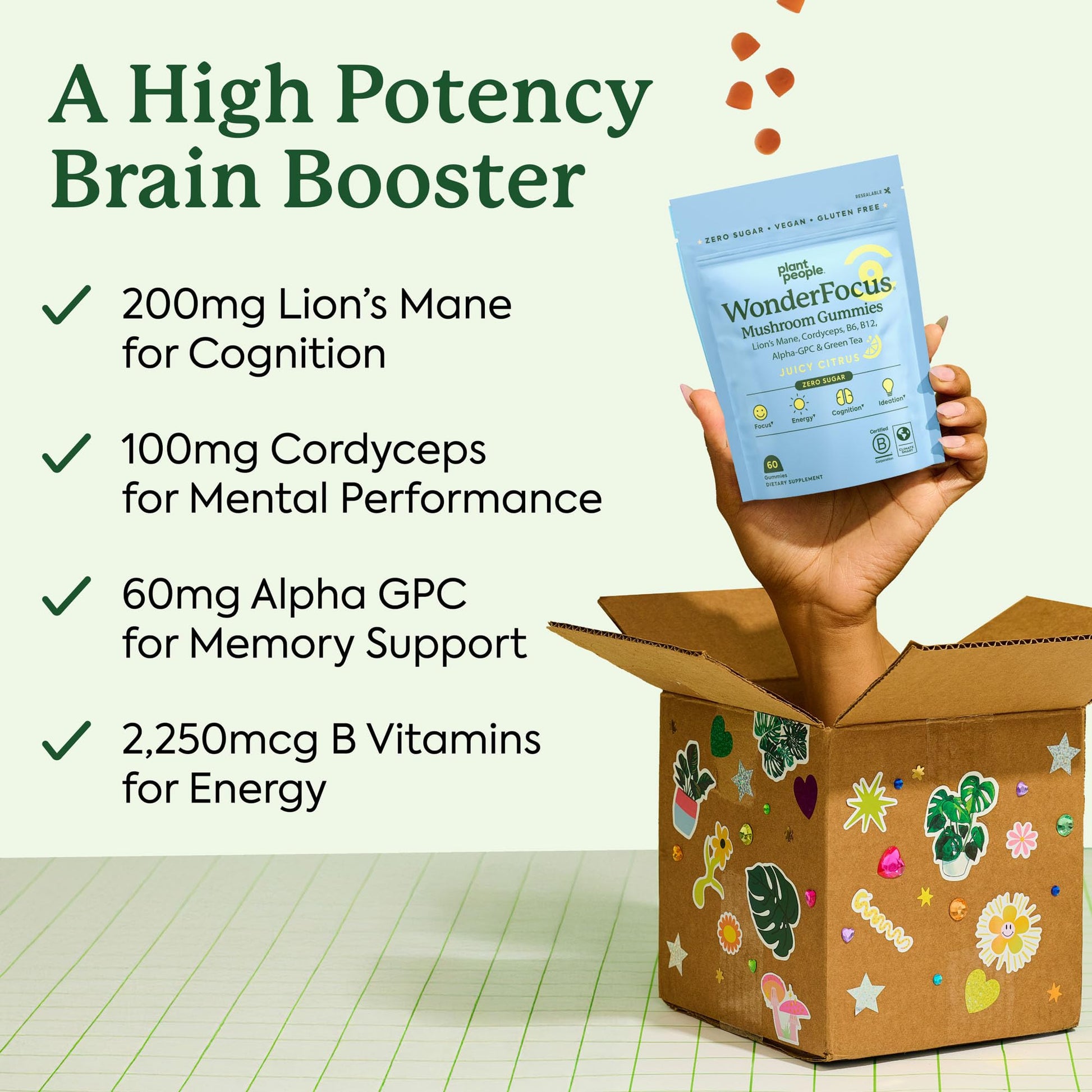 Plant People WonderFocus Mushroom Gummies with Lion’s Mane & Cordyceps - Nootropic Brain Supplement Boosts Memory, Focus, Energy & Mood in Adults | No Sugar, 100% Vegan, Citrus Flavor, 60 Count - Maple Wellness Supplements