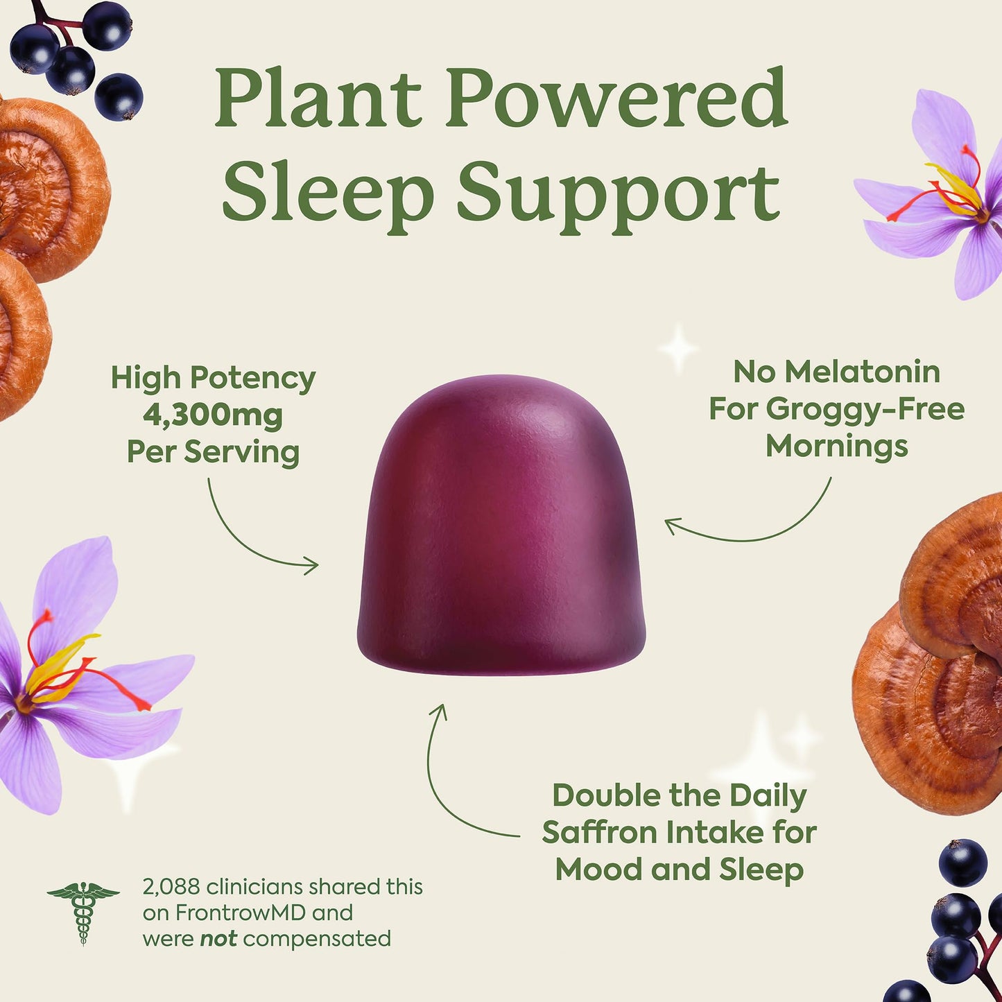 Plant People WonderSleep Mushroom Gummies Supplement for Sleep, No Melatonin with Reishi Super Mushrooms, Wild Elderberry Flavor, Sugar-Free (60 Count) - Maple Wellness Supplements
