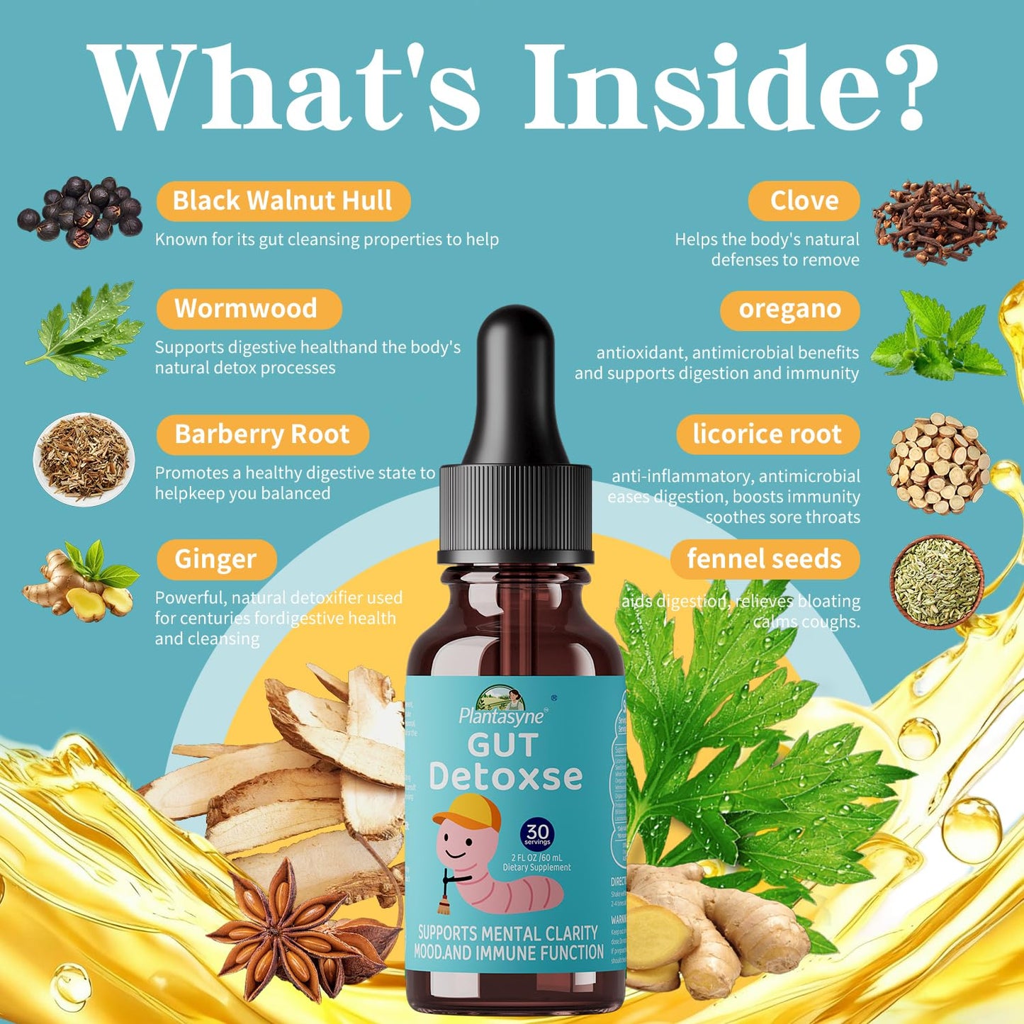 Plantasyne Herbal Gut Cleanse Drops with Black Walnut Hull & Barberry Root | Gentle Liquid Detox for Gut & Colon Support | for Adults & Kids|30 Servings - Maple Wellness Supplements