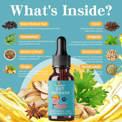 Plantasyne Herbal Gut Cleanse Drops with Black Walnut Hull & Barberry Root | Gentle Liquid Detox for Gut & Colon Support | for Adults & Kids|30 Servings - Maple Wellness Supplements