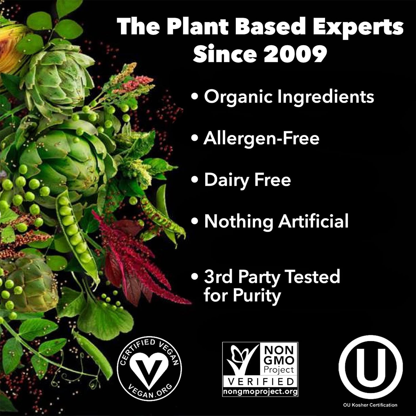 PlantFusion Complete Vegan Protein Powder - Plant Based Protein Powder With BCAAs, Digestive Enzymes and Pea Protein - Keto, Gluten Free, Soy Free, Non-Dairy, No Sugar, Non-GMO - Vanilla Bean 2 lb - Maple Wellness Supplements