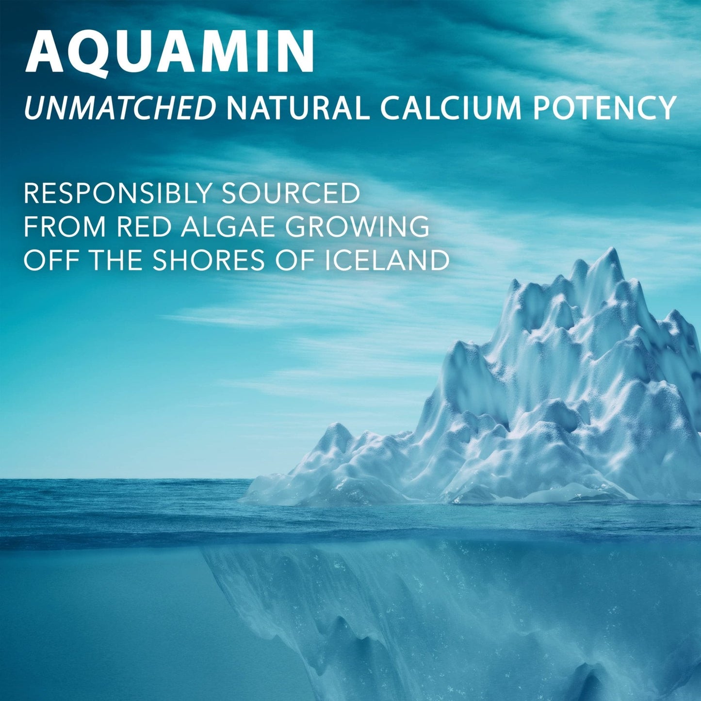 PlantFusion Vegan Calcium, Premium Plant Based Calcium (1000mg) Sourced from Icelandic Red Algae, Plus Magnesium, D3, K2 - Maple Wellness Supplements