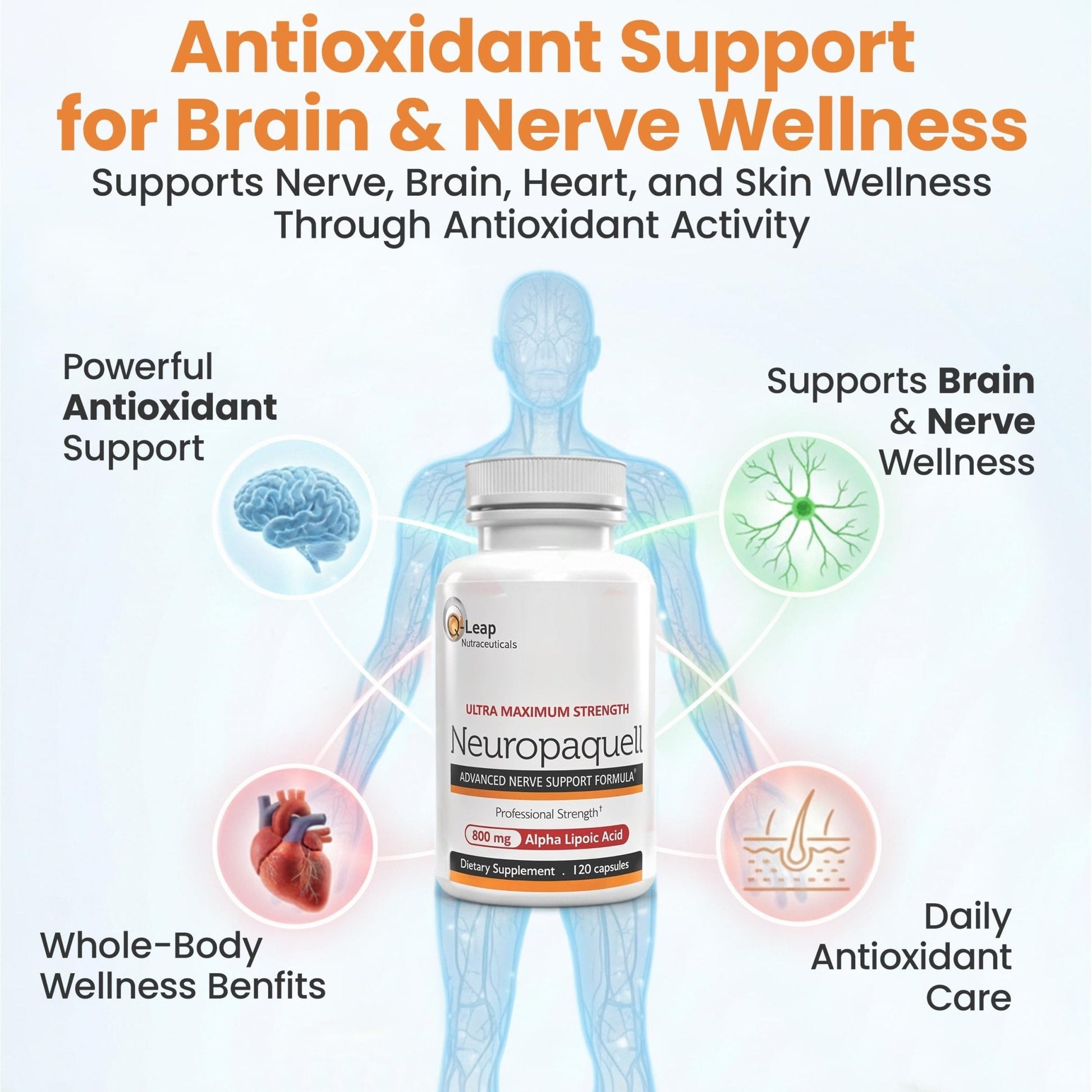 Platinum Health Alpha Lipoic Acid for Neuropathy Nerve Pain Support, Supplement, B Vitamins, L Arginine, All Natural Maximum Strength Neuropaquell for Discomfort in Feet, Hand, Toes,120 Capsules,800mg - Maple Wellness Supplements