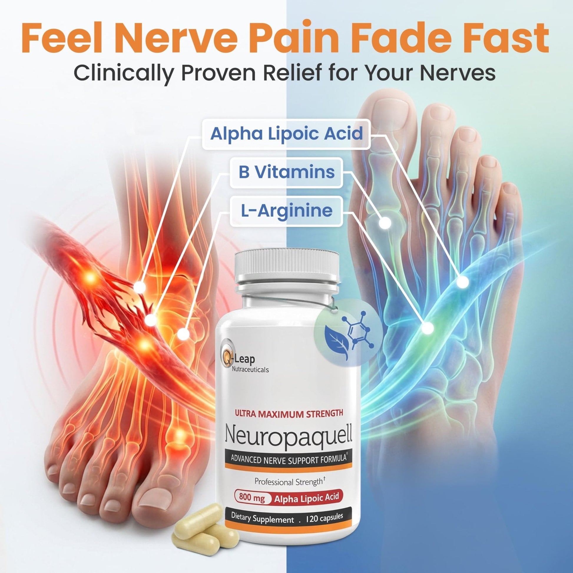 Platinum Health Alpha Lipoic Acid for Neuropathy Nerve Pain Support, Supplement, B Vitamins, L Arginine, All Natural Maximum Strength Neuropaquell for Discomfort in Feet, Hand, Toes,120 Capsules,800mg - Maple Wellness Supplements