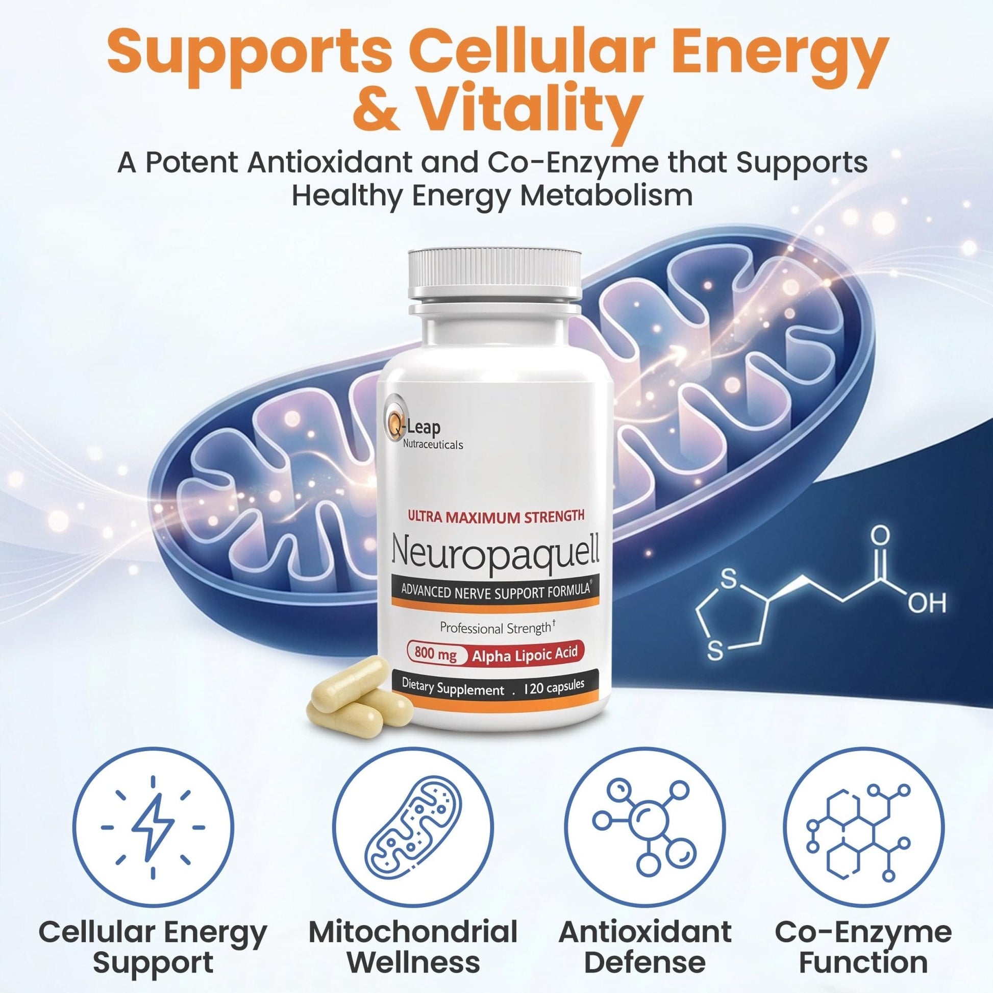 Platinum Health Alpha Lipoic Acid for Neuropathy Nerve Pain Support, Supplement, B Vitamins, L Arginine, All Natural Maximum Strength Neuropaquell for Discomfort in Feet, Hand, Toes,120 Capsules,800mg - Maple Wellness Supplements
