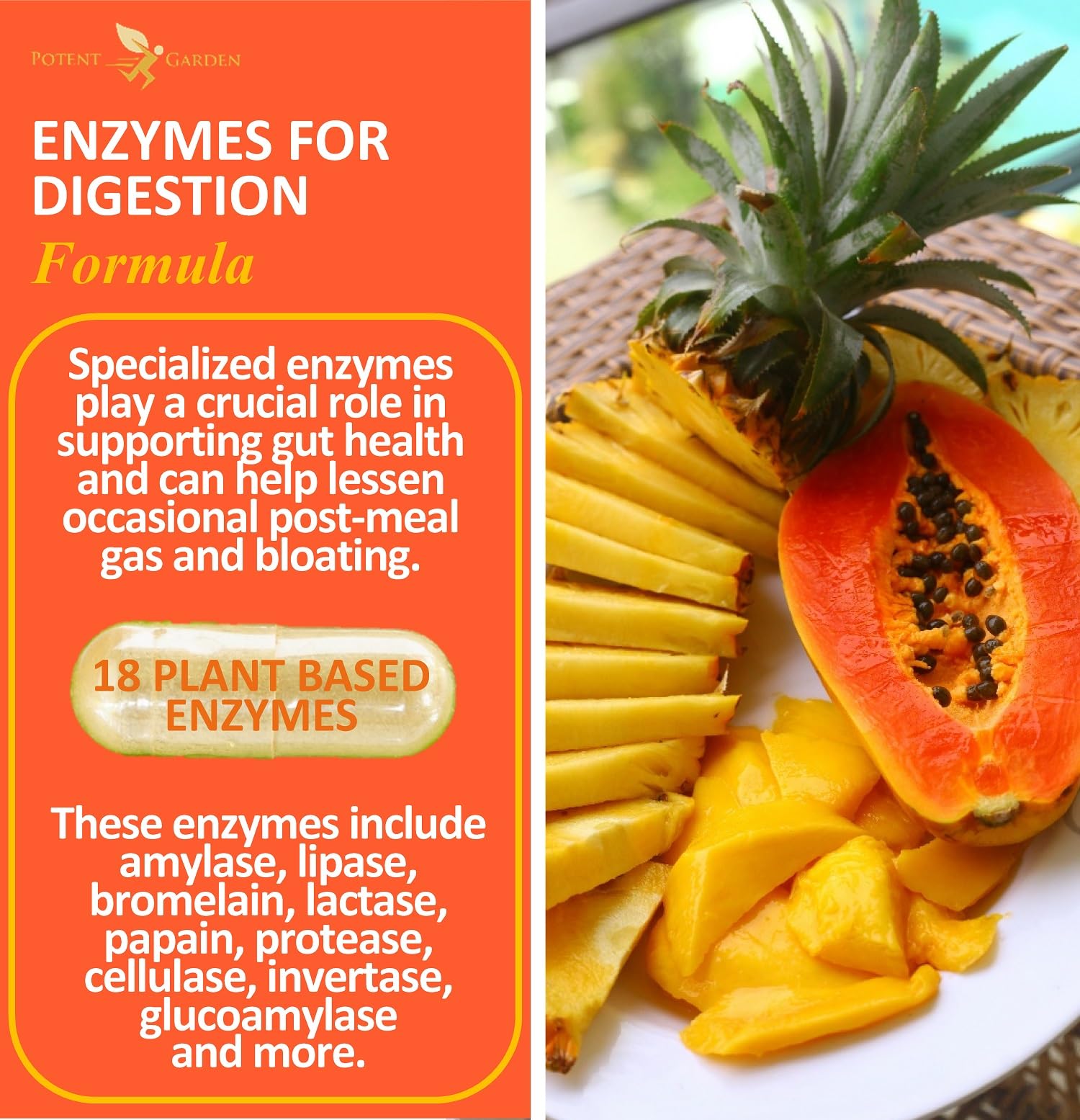 Potent Garden Digestive Enzymes -18 Plant Based Enzymes with amylase lipase bromelain Protease lactase & Other Enzymes - One Pre Meal Pill Supports Healthy - Maple Wellness Supplements