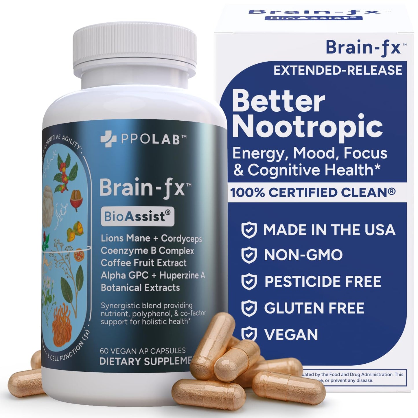 PPO Lab® Brain-fx™ Extended-Release Vitamins for Brain Health, Supplement for Memory and Focus with Nootropics, BDNF Factor, Methylated B Complex, L-Theanine - Maple Wellness Supplements