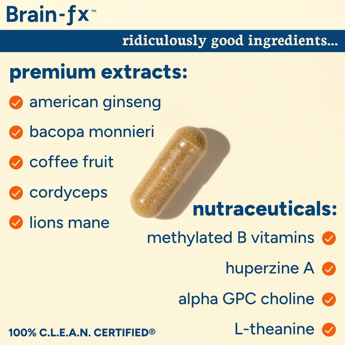 PPO Lab® Brain-fx™ Extended-Release Vitamins for Brain Health, Supplement for Memory and Focus with Nootropics, BDNF Factor, Methylated B Complex, L-Theanine - Maple Wellness Supplements