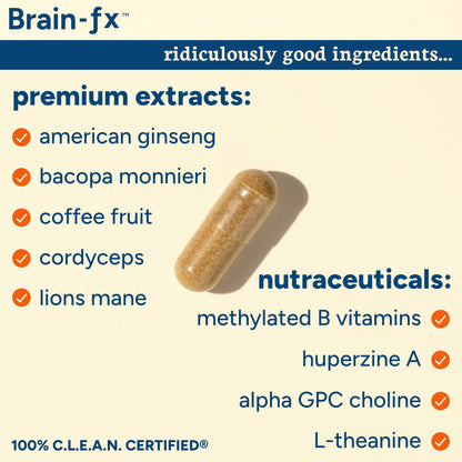 PPO Lab® Brain-fx™ Extended-Release Vitamins for Brain Health, Supplement for Memory and Focus with Nootropics, BDNF Factor, Methylated B Complex, L-Theanine - Maple Wellness Supplements