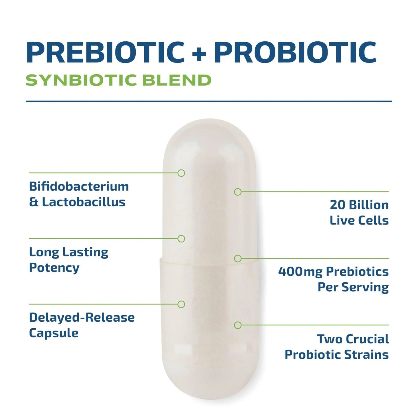 Prebiotics and Probiotics for Women & Men | Pre and Probiotics for Gut Health & Bloating Relief | Synbiotic with 20 Billion CFU Lactobacillus & Bifidobacterium | Shelf-Stable | Vegetarian | 60 Ct. - Maple Wellness Supplements