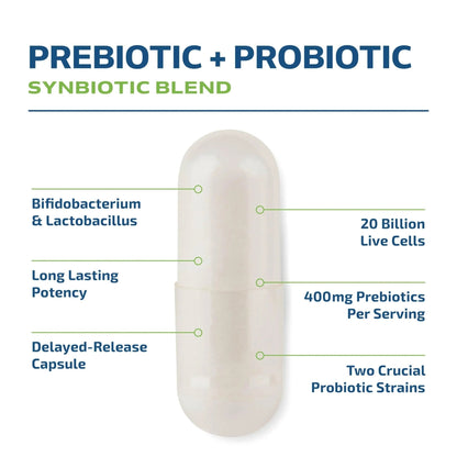 Prebiotics and Probiotics for Women & Men | Pre and Probiotics for Gut Health & Bloating Relief | Synbiotic with 20 Billion CFU Lactobacillus & Bifidobacterium | Shelf-Stable | Vegetarian | 60 Ct. - Maple Wellness Supplements
