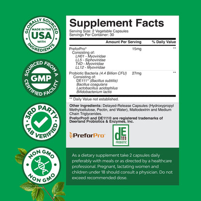 Prebiotics and Probiotics Gut Health Supplement-Super Potent Digestive Health Acidophilus Probiotic Capsules with Men & Womens Probiotics & Prebiotics - Maple Wellness Supplements