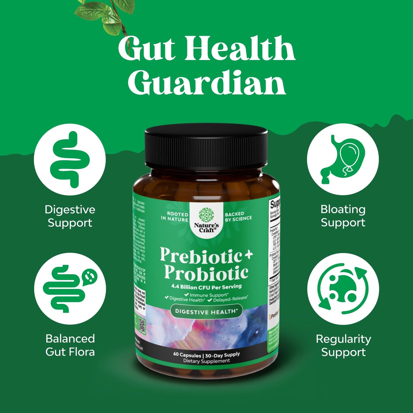 Prebiotics and Probiotics Gut Health Supplement-Super Potent Digestive Health Acidophilus Probiotic Capsules with Men & Womens Probiotics & Prebiotics - Maple Wellness Supplements