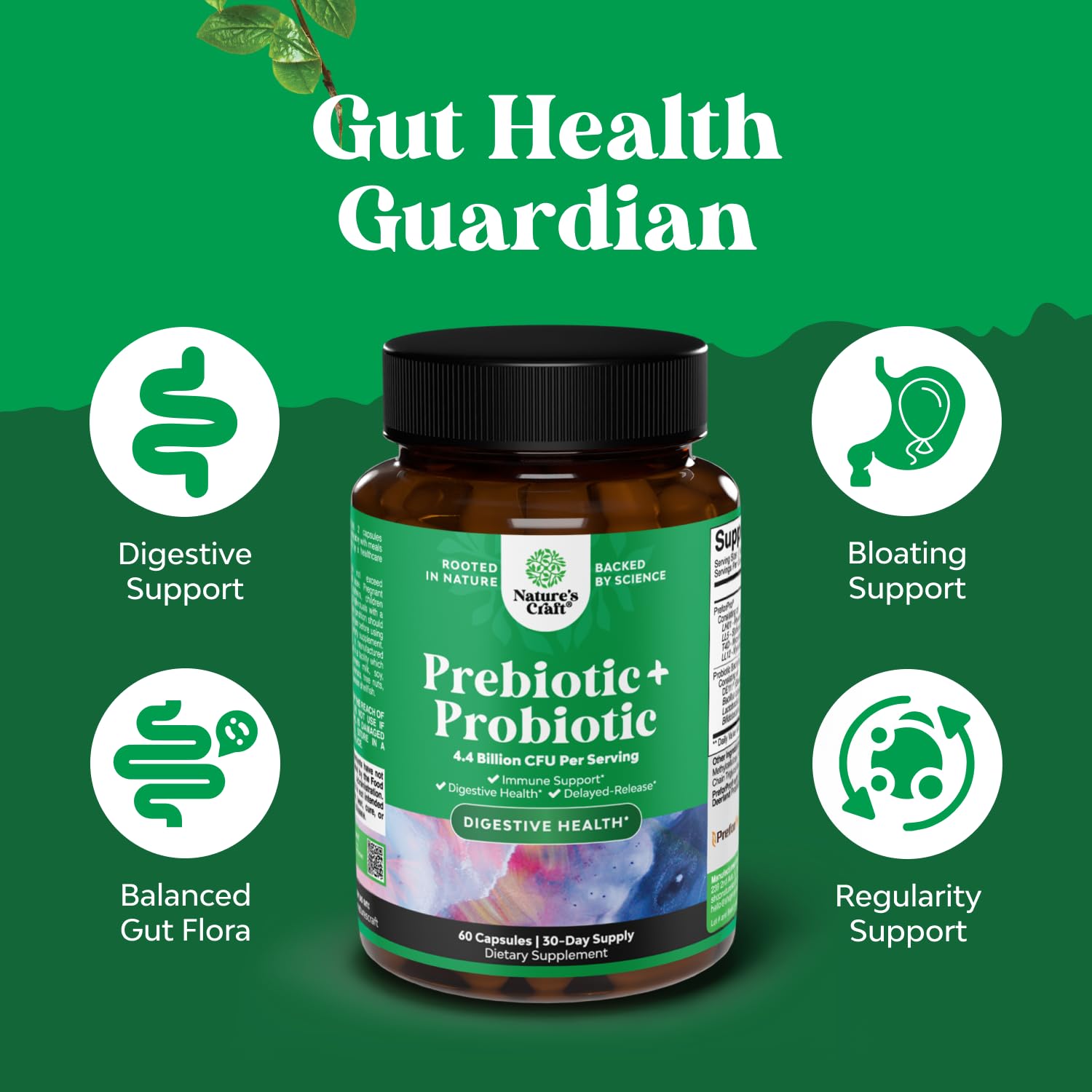 Prebiotics and Probiotics Gut Health Supplement-Super Potent Digestive Health Acidophilus Probiotic Capsules with Men & Womens Probiotics & Prebiotics - Maple Wellness Supplements