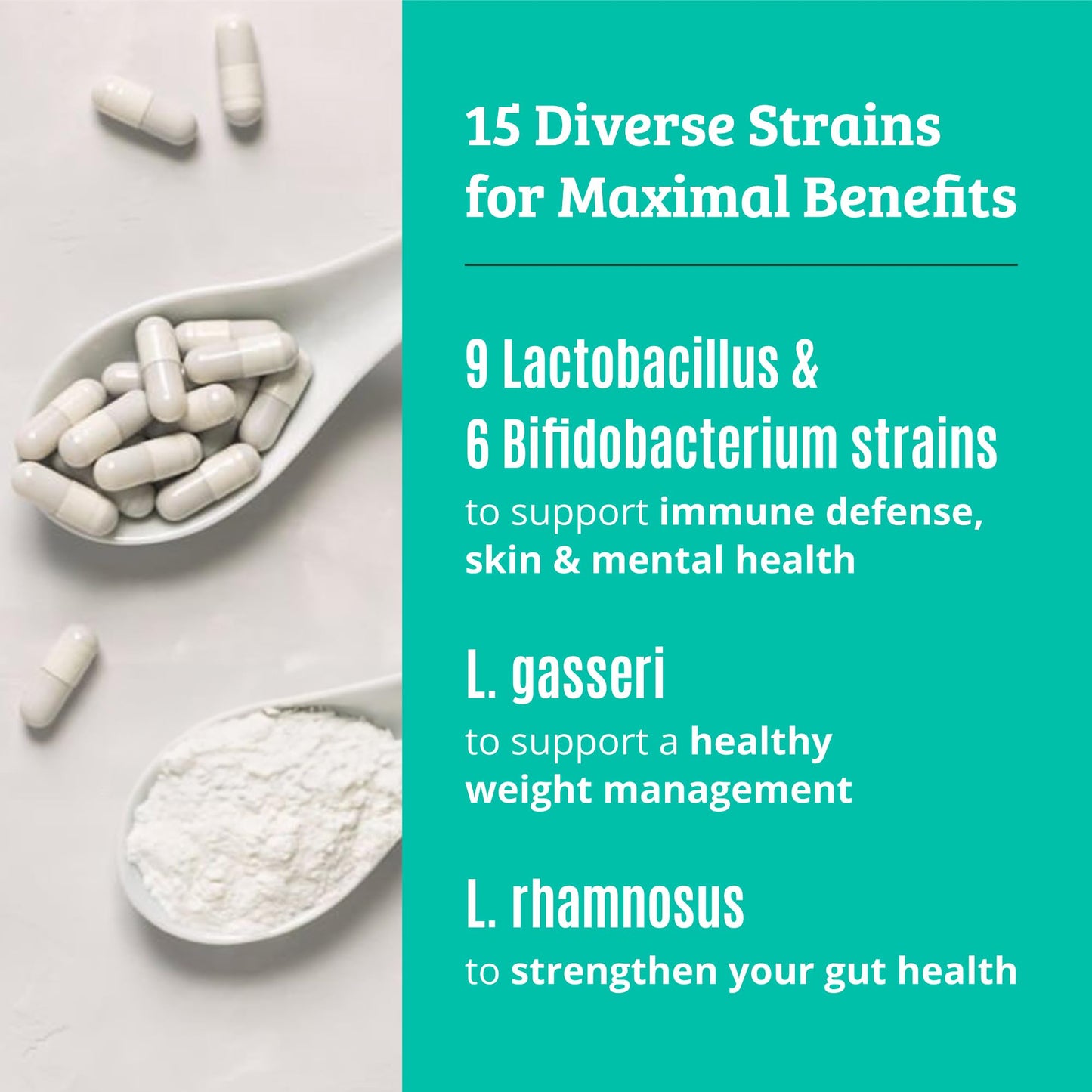 Prebiotics and Probiotics: Lactobacillus Gasseri, Lactobacillus Rhamnosus, Plantarum, Casei, Bifidobacterium longum, lactis, infantis. Probiotic Prebiotic, - Maple Wellness Supplements