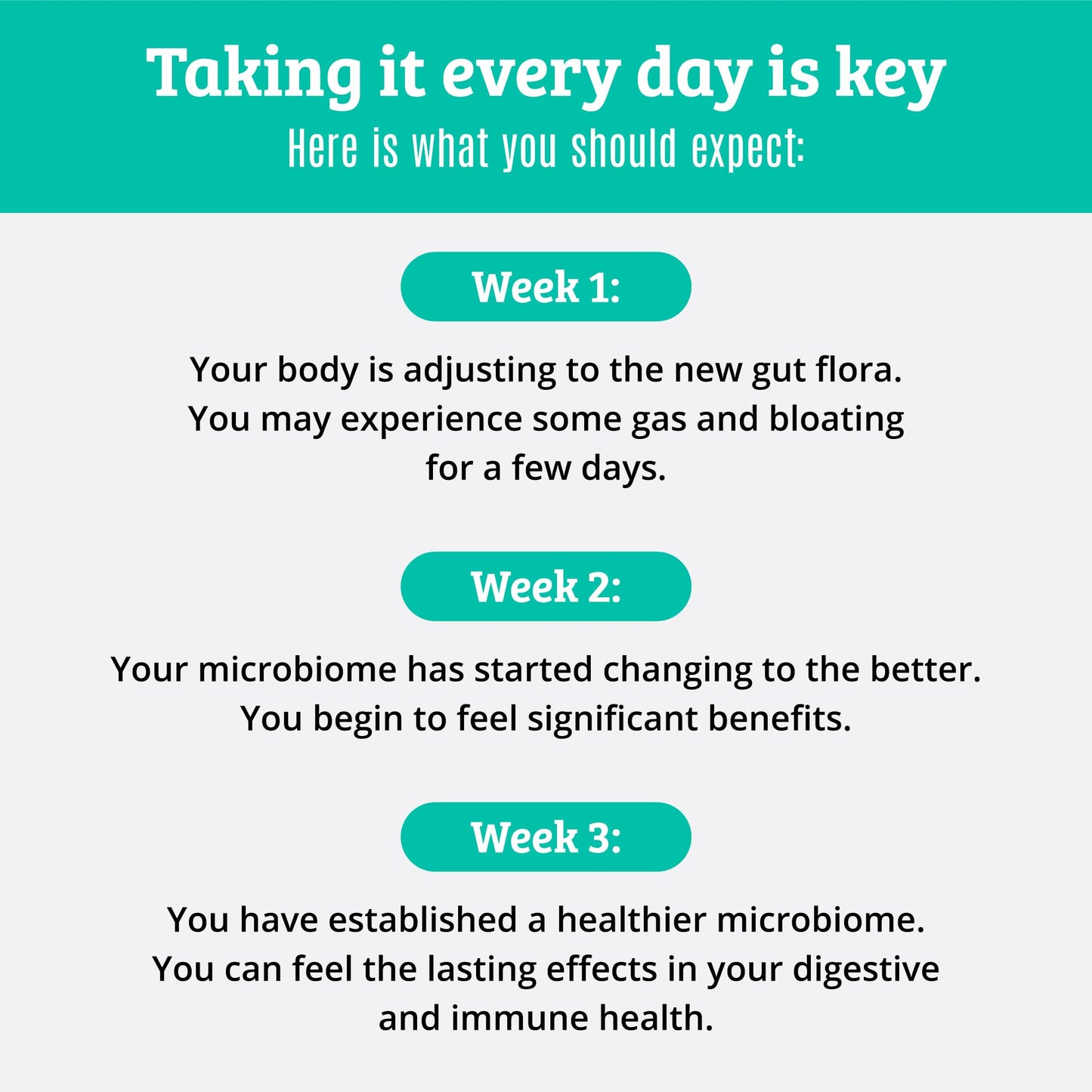 Prebiotics and Probiotics: Lactobacillus Gasseri, Lactobacillus Rhamnosus, Plantarum, Casei, Bifidobacterium longum, lactis, infantis. Probiotic Prebiotic, - Maple Wellness Supplements