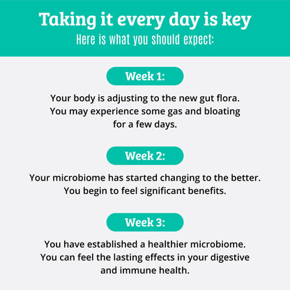 Prebiotics and Probiotics: Lactobacillus Gasseri, Lactobacillus Rhamnosus, Plantarum, Casei, Bifidobacterium longum, lactis, infantis. Probiotic Prebiotic, - Maple Wellness Supplements