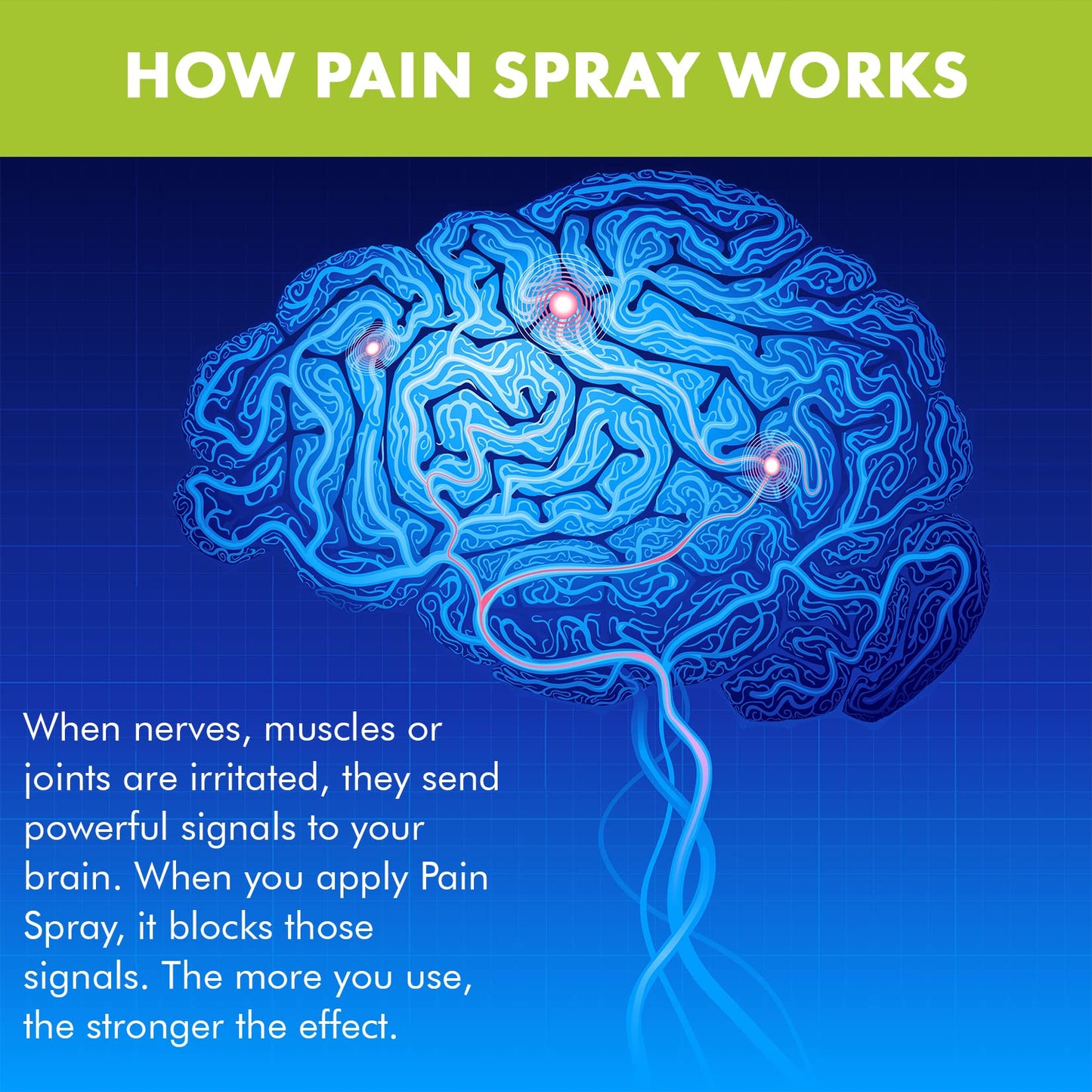 Premiere's Pain Spray All-Natural Menthol & Peppermint Roller Herbal Blend for Joint and Nerve Pain, Muscle Soreness, Sprains, Cramps, Sports Injuries, Back Pain & Neck Shoulder Aches - 1 Pack - Maple Wellness Supplements