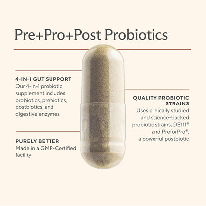 Premium 4-in-1 Probiotic Prebiotic, Postbiotic & Digestive Enzymes for Men & Women – Supports Gut, Digestion & Immunity –Complete Gut Health with Pre, Post - Maple Wellness Supplements
