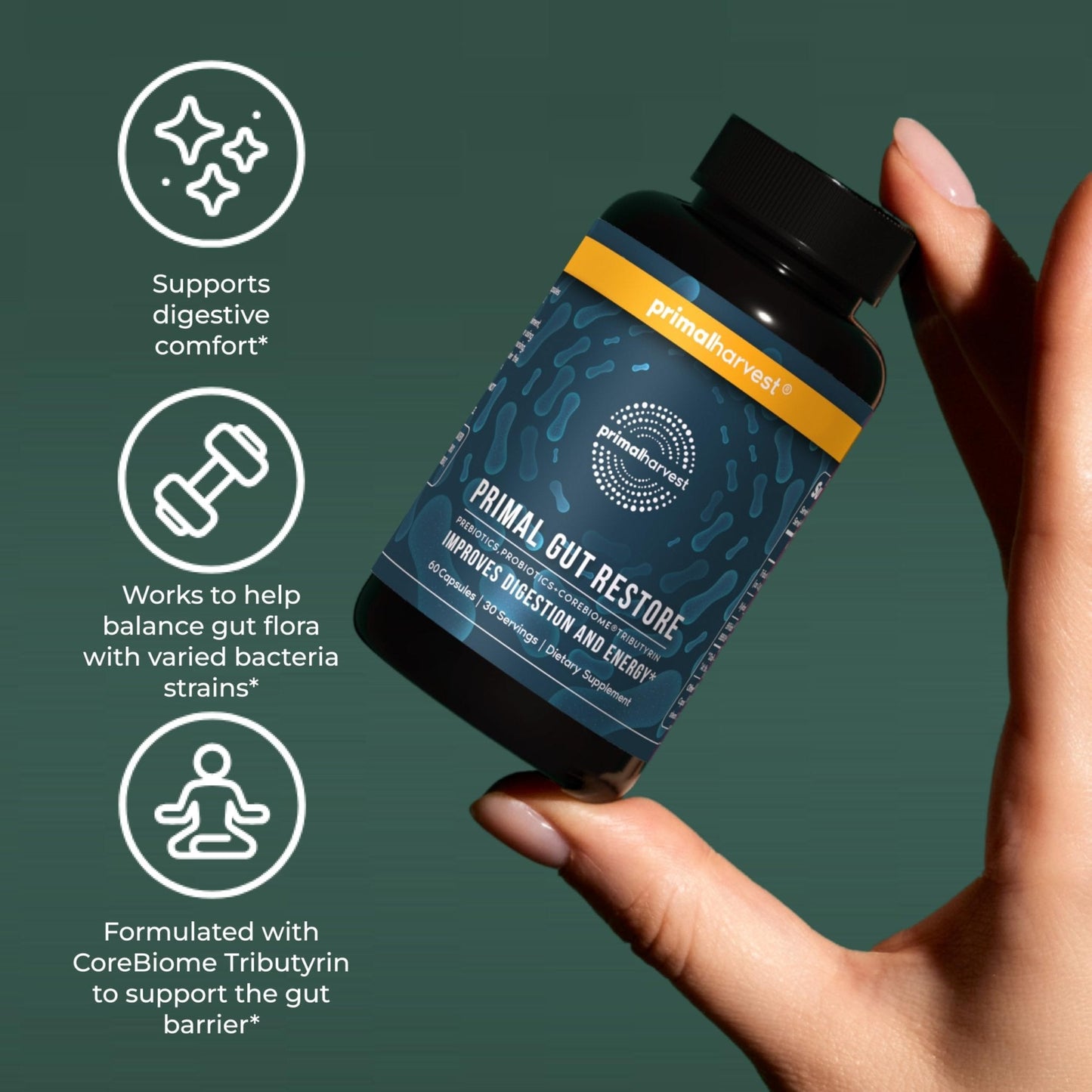 Primal Harvest 2 Pack, Restore for Gut Health, Primal Gut Restore w/POSTbiotics, PREbiotics and PRObiotics for Women and Men, 60 CT - Digestion, - Maple Wellness Supplements