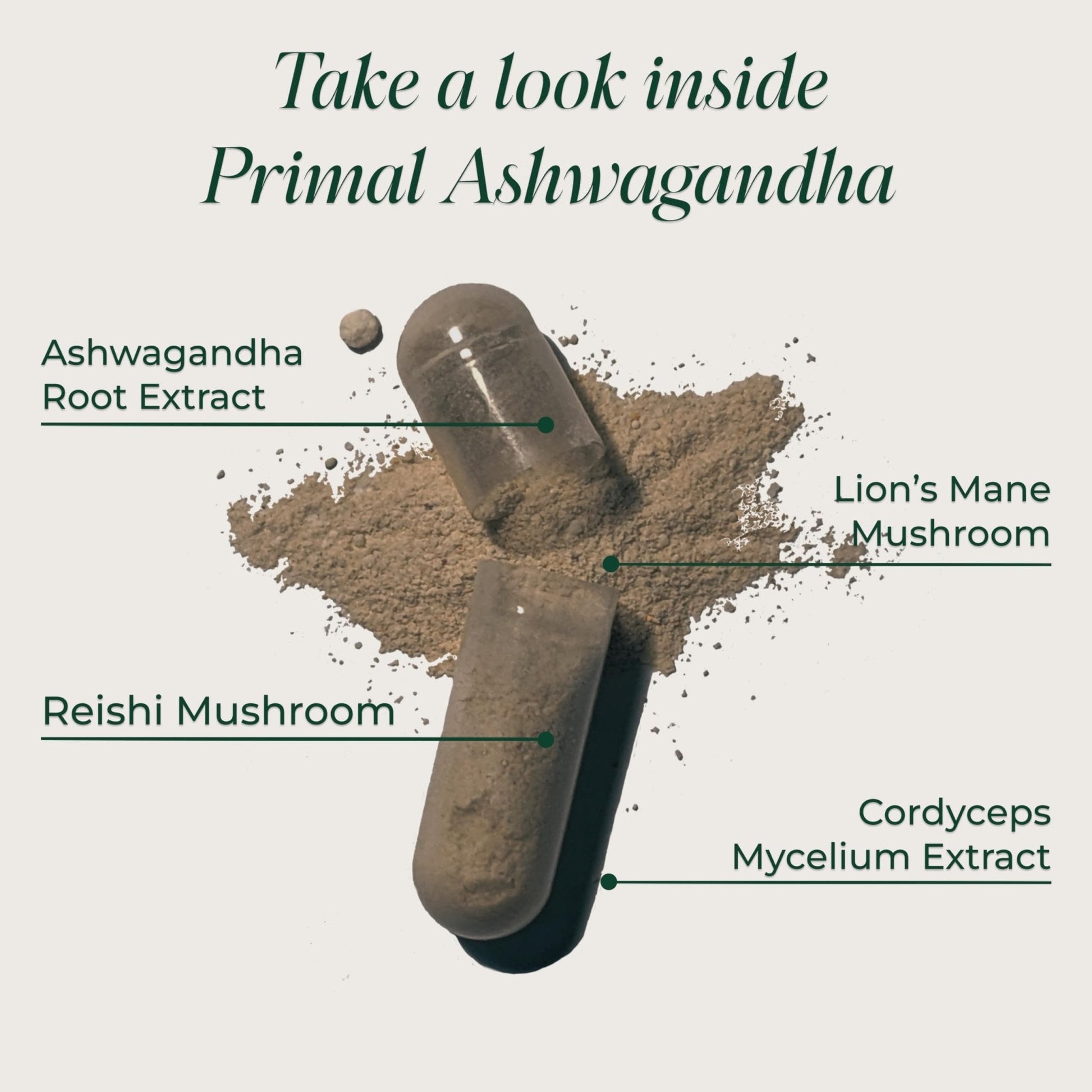 Primal Harvest Ashwagandha Supplement with 5 Mushroom Extracts: Lion’s Mane, Reishi, Cordyceps, Turkey Tail & Maitake for Immune Support & Cognitive Health - Maple Wellness Supplements