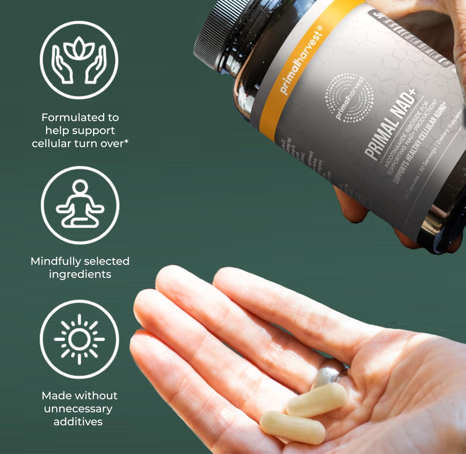 Primal Harvest NAD+ Supplement: Nicotinamide Riboside, Trans-Resveratrol, Betaine, CoQ10, NAD Supplements for Cellular Health, Energy, and Mitochondrial Support - Maple Wellness Supplements