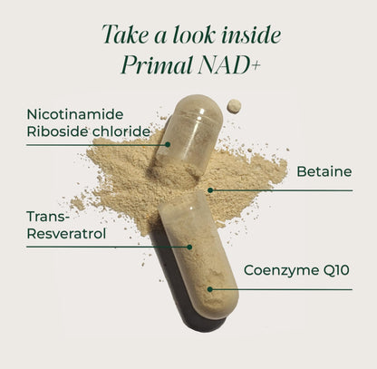 Primal Harvest NAD+ Supplement: Nicotinamide Riboside, Trans-Resveratrol, Betaine, CoQ10, NAD Supplements for Cellular Health, Energy, and Mitochondrial Support - Maple Wellness Supplements