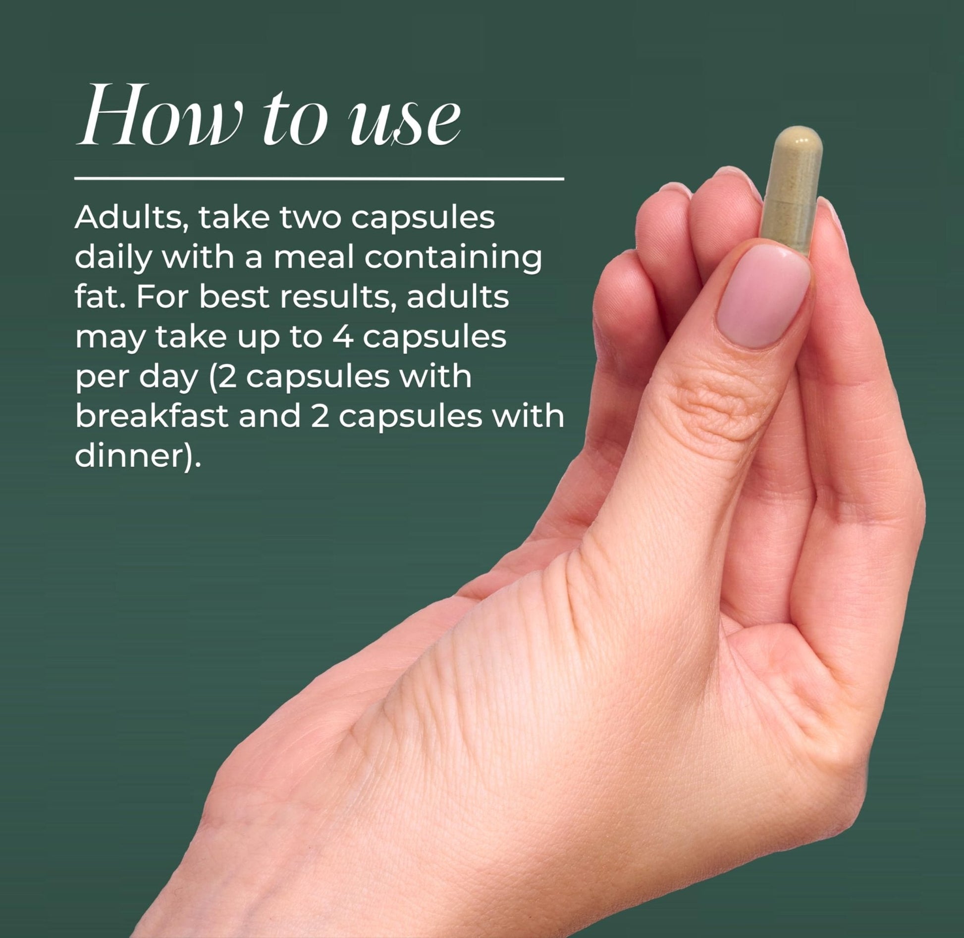 Primal Harvest NAD+ Supplement: Nicotinamide Riboside, Trans-Resveratrol, Betaine, CoQ10, NAD Supplements for Cellular Health, Energy, and Mitochondrial Support - Maple Wellness Supplements