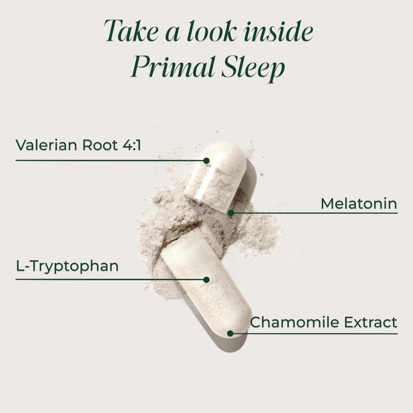 Primal Harvest Primal Sleep Support Supplement for Adults with Melatonin, GABA, Valerian Root, L-Tryptophan, Magnesium Bisglycinate Chelate - Maple Wellness Supplements