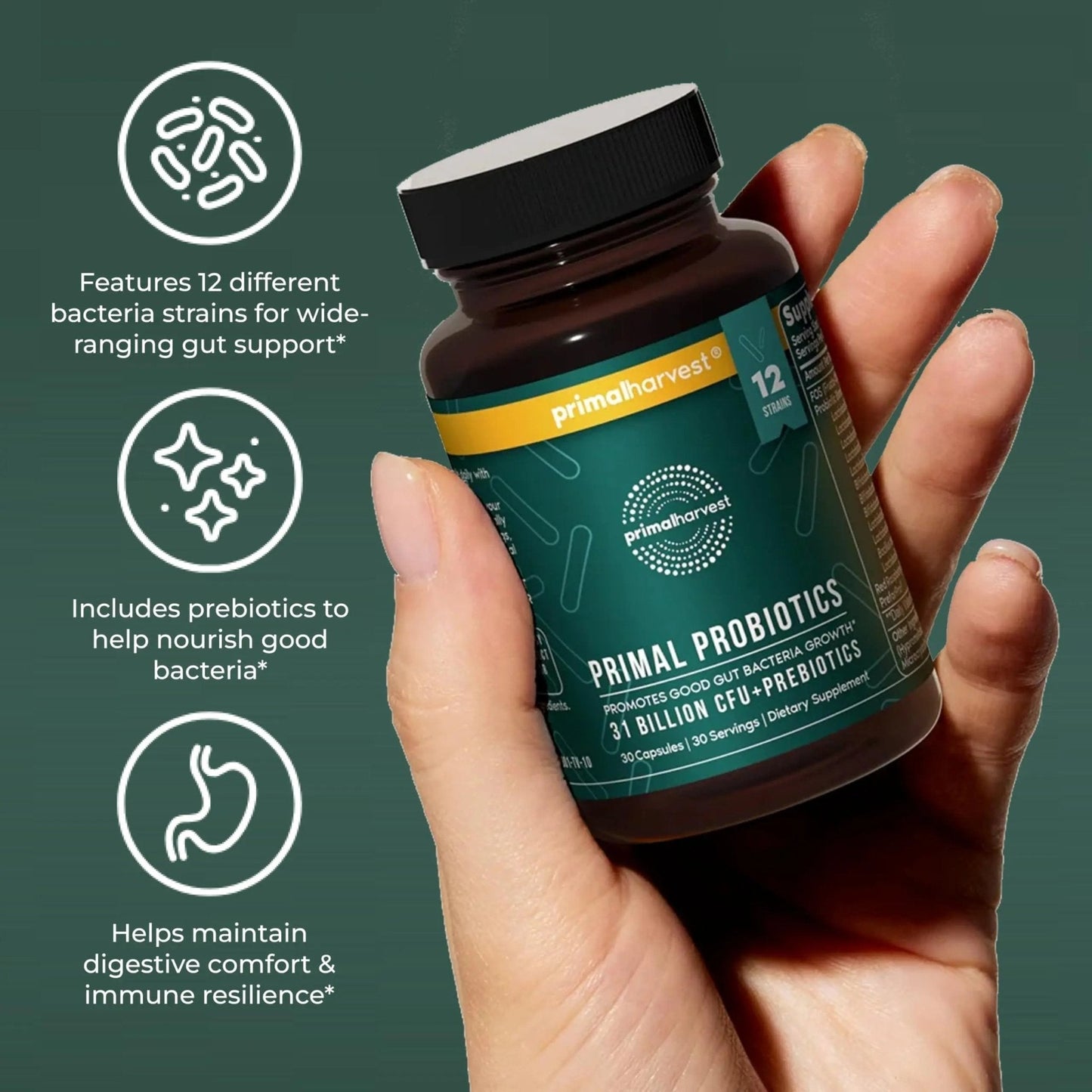 Primal Harvest Probiotics for Women & Men Daily Probiotic Supplement with 12 Strains for Gut & Digestive Health 30 Capsules - Maple Wellness Supplements